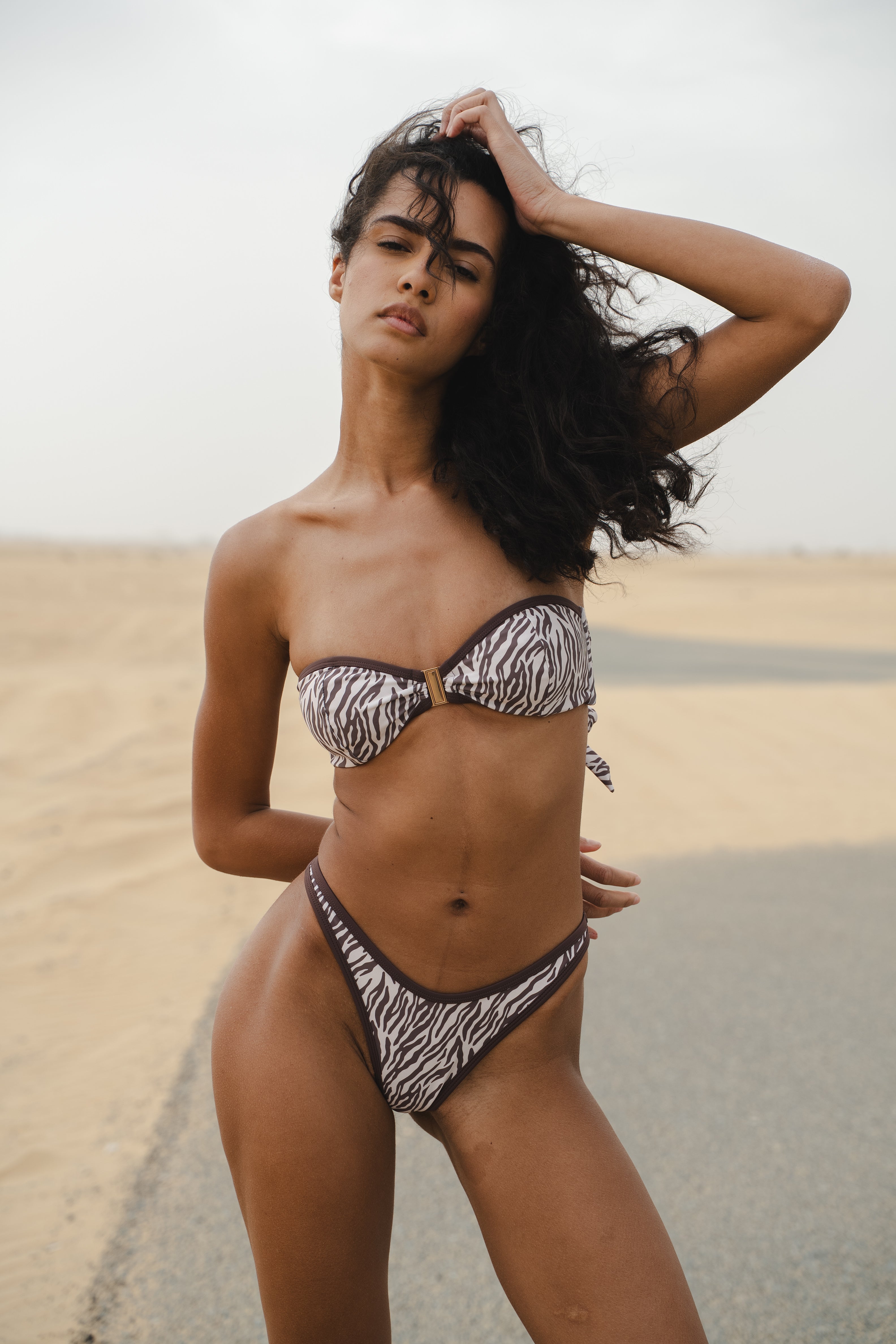 ICON BOTTOM - ZEBRA